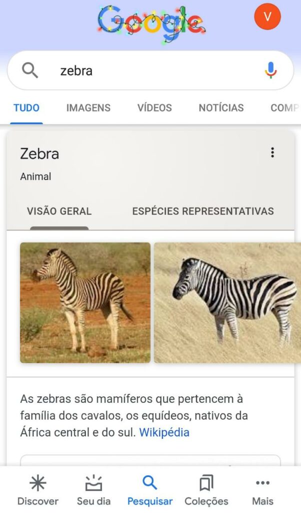 Google 3D Animals: step by step to search and see animals in augmented reality