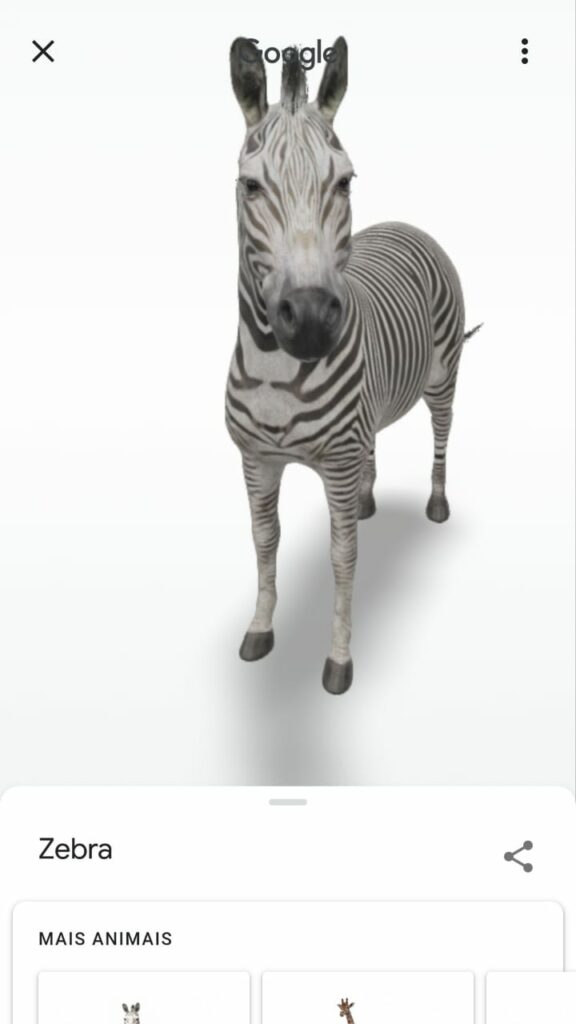 Google 3D Animals: step by step to search and see animals in augmented reality
