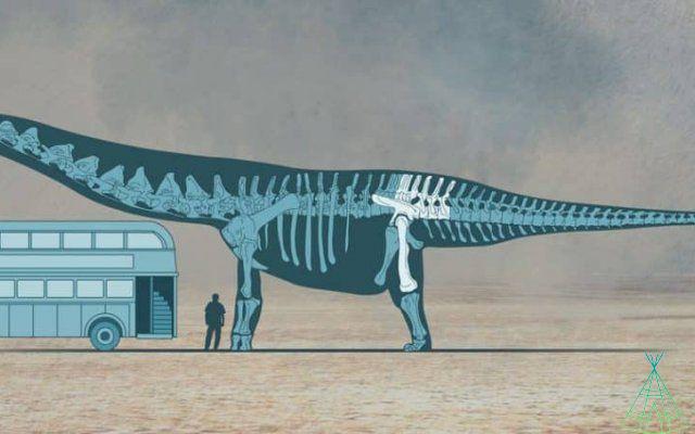 ¿Cuál es el animal terrestre más grande que jamás haya existido?