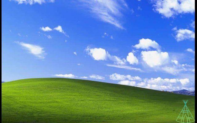 35 years of evolution: know the history of Windows
