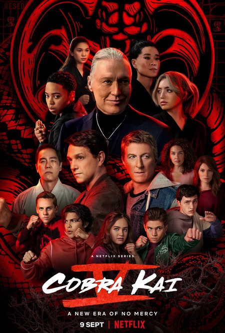 « Cobra Kai » : comment regarder la 5ème saison de la série