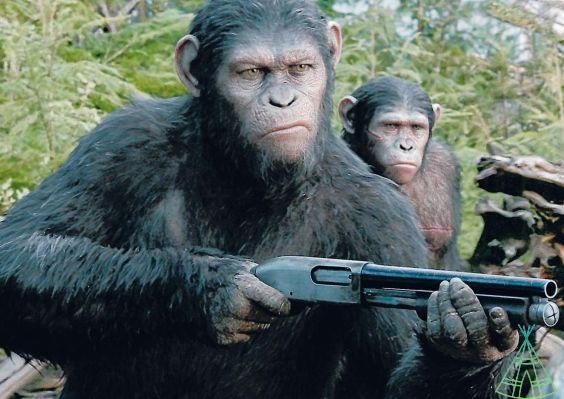 “Planet of the Monkeys 4”: Film is announced and gets first image; check out